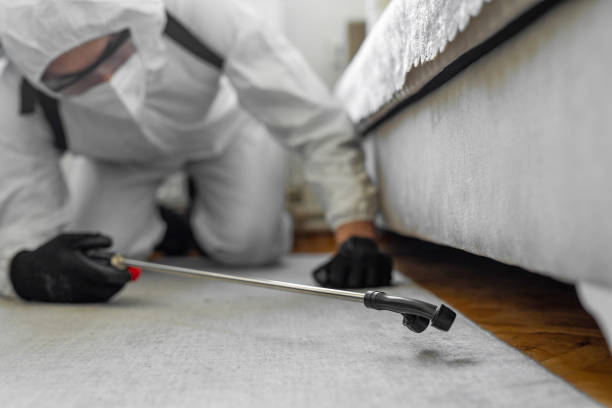 Professional Bed Bug Control technician working in Youngstown, NY
